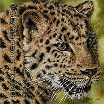 Critically Endangered; Amur Leopard - Amur Leopard by Gemma Gylling