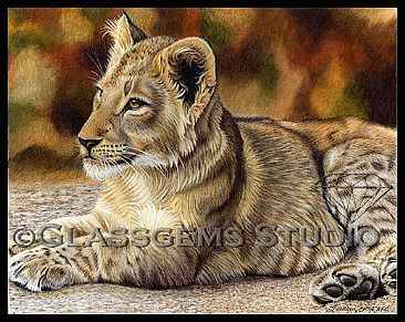 Here Me Roar - African Lion Cub by Gemma Gylling