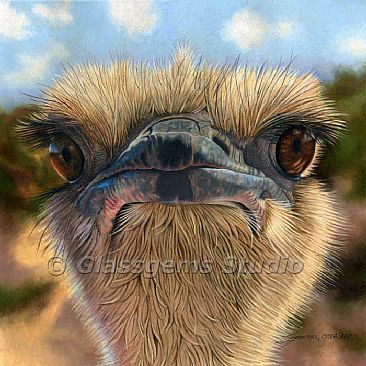Here's Lookin' at Ya' - Ostrich by Gemma Gylling