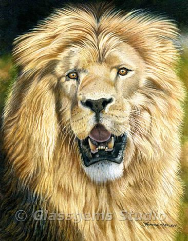 Simba - African Lion by Gemma Gylling