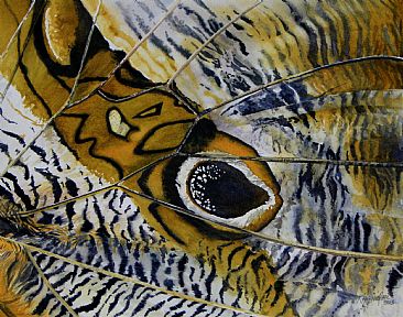 Olho da Coruja - Close-up of Owl butterfly wing by Kitty Harvill