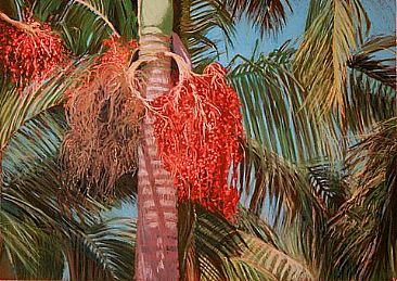 Juara - Palm of the Atlantic Forest by Kitty Harvill