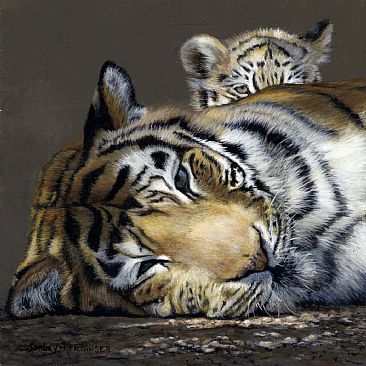 Peek-a-boo - MOther tiger Portrait by Cindy Sorley-Keichinger