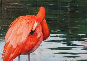 South American Red - South American Flamingo by Cindy Sorley-Keichinger