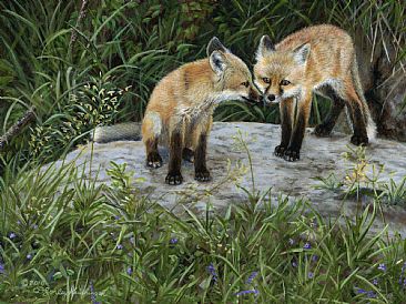 What! Are You Kitting Me?! - Pair of kit fox by their den by Cindy Sorley-Keichinger