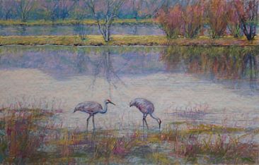 Bosque Afternoon - Sandhill Cranes at Bosque del Apache NWR, NM by Sandra Place