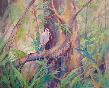 Swamp Ibis - White Ibis, Corkscrew Swamp Sanctuary, Florida by Sandra Place