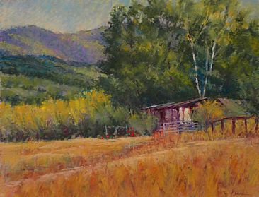 Quiet Afternoon - rural scene near Sonoma, CA by Sandra Place