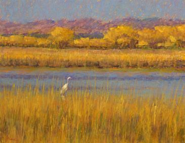 Waiting for Sunset - Great Egret, Bosque del Apache NWR, NM by Sandra Place