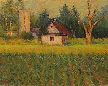 Summer Light - farm scene in Door County, WI by Sandra Place