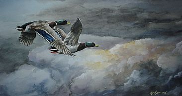 Flying high - Mallards by Ahsan Qureshi