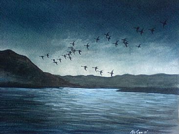 Early morning flight - Early morning flight, ducks by Ahsan Qureshi