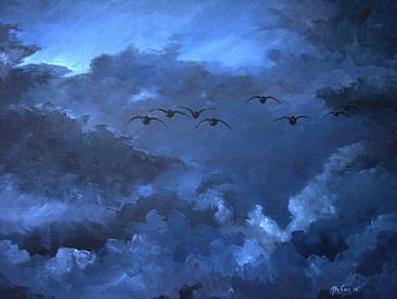 Ahead of evening storm - Gray lag geese by Ahsan Qureshi