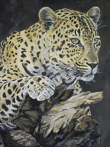 Deadly gaze - Common leopard by Ahsan Qureshi