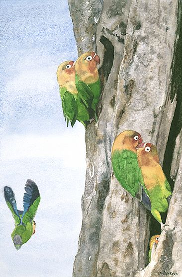 Lovebirds of Tanzania  - Fischer's lovebirds are from Tanzania by Linda DuPuis-Rosen