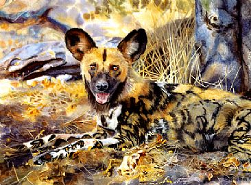 Painted Dog in the Shade - Painted dog of Africa by Linda DuPuis-Rosen