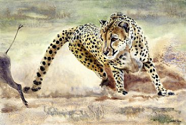 Cheetah Chase - African cheetah chasing a worthog by Linda DuPuis-Rosen