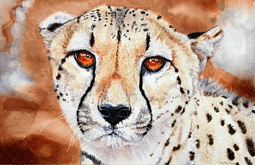 Cheetah Portrait -  by Linda DuPuis-Rosen