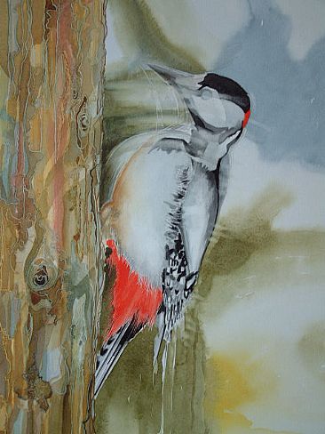 Spotted woodpecker - Woodpecker in move by Christian Dache
