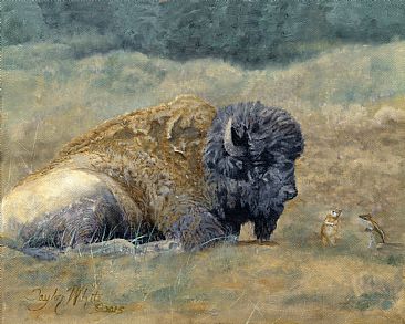 Bison Study - Bison by Taylor White