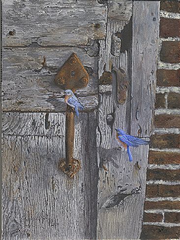 Blue and Grey - Blue Bird Pair on old barn wood by Taylor White