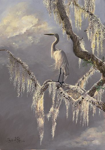 Draped in Nature - Egret in Tree with Moss by Taylor White
