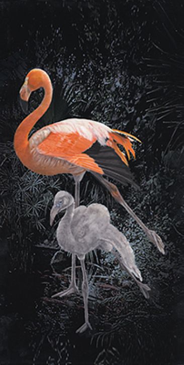 Flamingo (Right) - Flamingo with two young by Taylor White