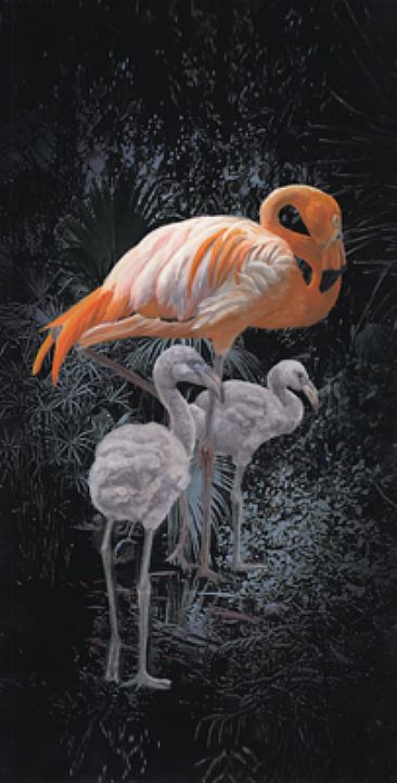 Flamingo (Left) - Flamingo with young by Taylor White