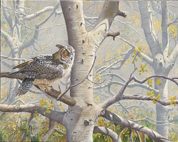 Owl in Aspen - Great horned owl in aspen trees by Taylor White