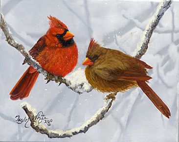 Snow in January Cardinals - Winter Cardinals by Taylor White