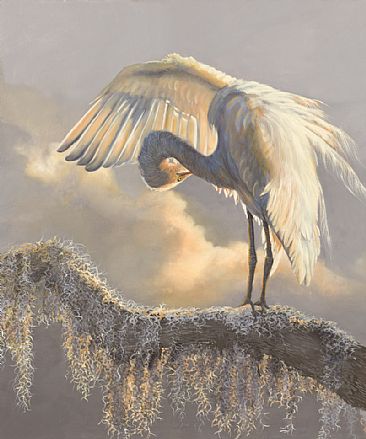 Sunrise Serenade - White Egret by Taylor White