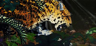 Panthera onca - Jaguar - Jaguar by Jason Kamin