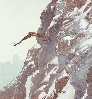 Hunter's Flight - Red Tail - Red Tail Hawk by Barbara Kopeschny