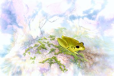Eastern stony creek frog - Litoria wilcoxii by Laura Grogan