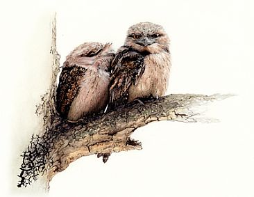 Suspicion and Disguise! SOLD - Tawny frogmouths (Podargus strigoides) by Laura Grogan