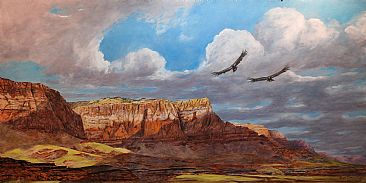 Condors Soaring The Vermilion Cliffs - Condors Over The Vermilion Cliffs National Monument by Rob Dreyer