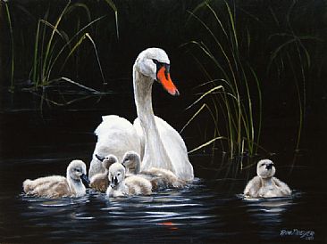 Paddling to a different drummer - Mute Swan and Cygnets by Rob Dreyer