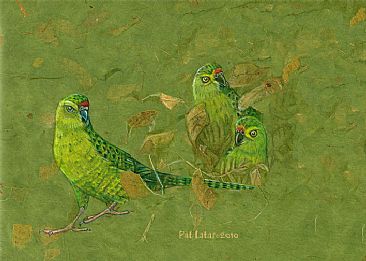 Western Ground Parrots - Western Ground Parrots by Pat Latas