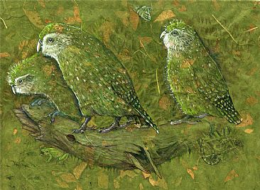 Kakapo Female and Chicks - Female Kakapo with two chicks by Pat Latas