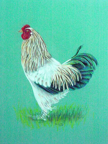 Nauty Rooster - Rooster by Pat Latas