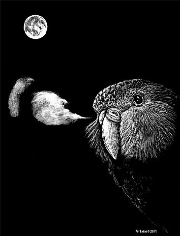 Sweet Breath - Kakapo by Pat Latas