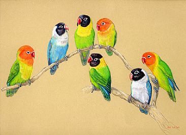 The Redbeaks - Hooded and Fischer's Lovebirds by Pat Latas