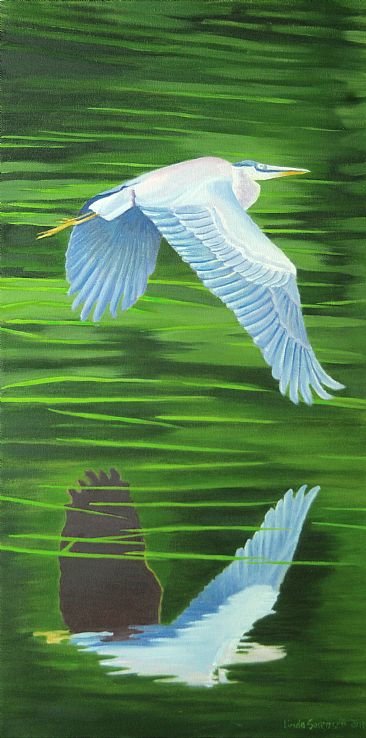 In Flight - great Blue Heron by Linda Sorensen