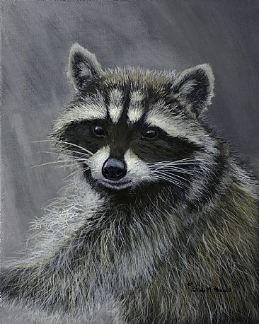 Unmasked - Raccoon by Patricia Mansell