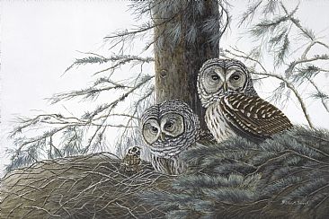 New Hope -  Nesting Barred Owls and chick by Patricia Mansell