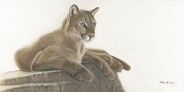 Quiet Intensity - Cougar by Patricia Mansell