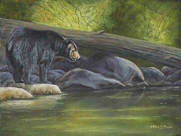 Water's Edge - Black Bear by Patricia Mansell