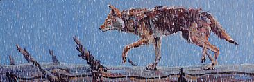 APPARITION - www.griffingallery.org, coyote by Patricia Griffin