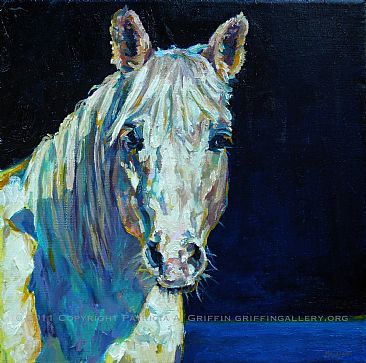 MIDNIGHT RIDE - www.griffingallery.org by Patricia Griffin