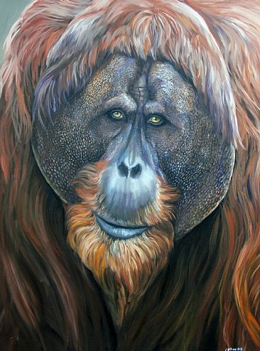 Orangutan - orangutan by Cindy Billingsley